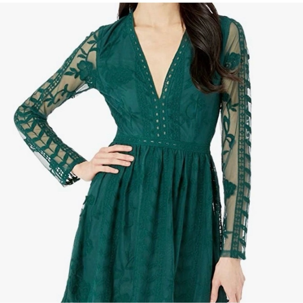Green Socialite Lace Embroidered Dress